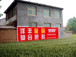 永州如何让墙体广告展现最大化效果