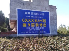 永州品牌公司青睐的墙体广告