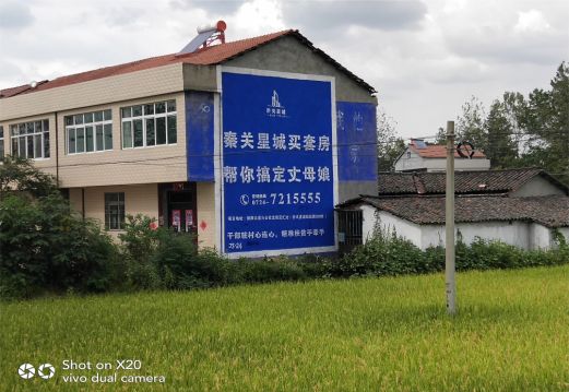 永州决定墙体广告价格的因素有哪些?
