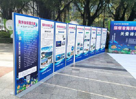 永州KT板的种类和知识。